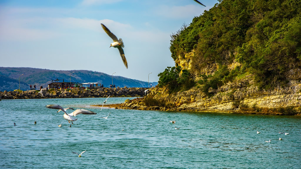 ağva
