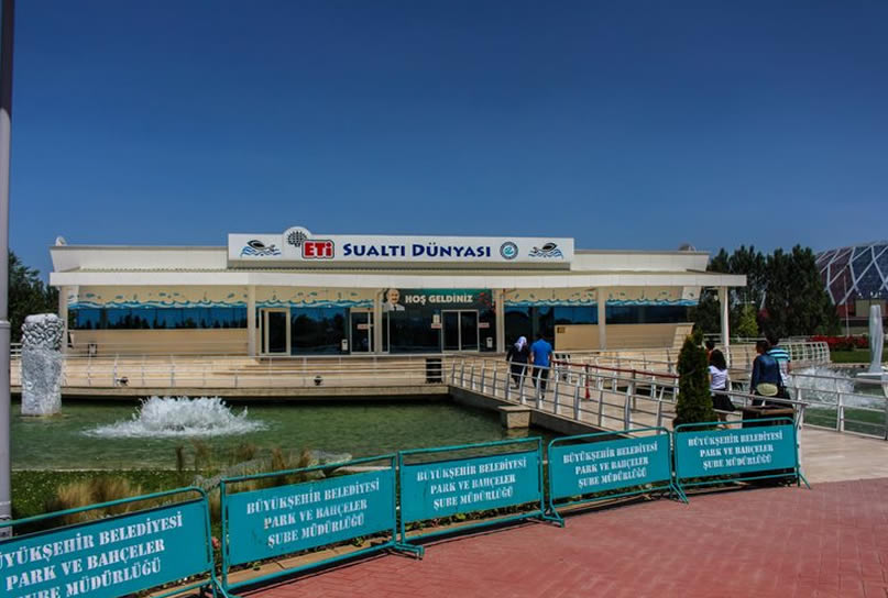 Eti Sualtı Dünyası